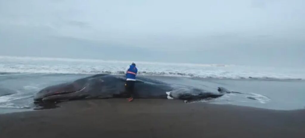 image qbgPrTkDz 1200x0 1