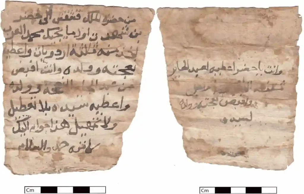 image raza a 2615518 f0004 oc