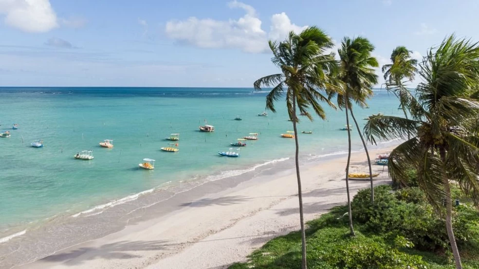 1757709494362 1757709494362