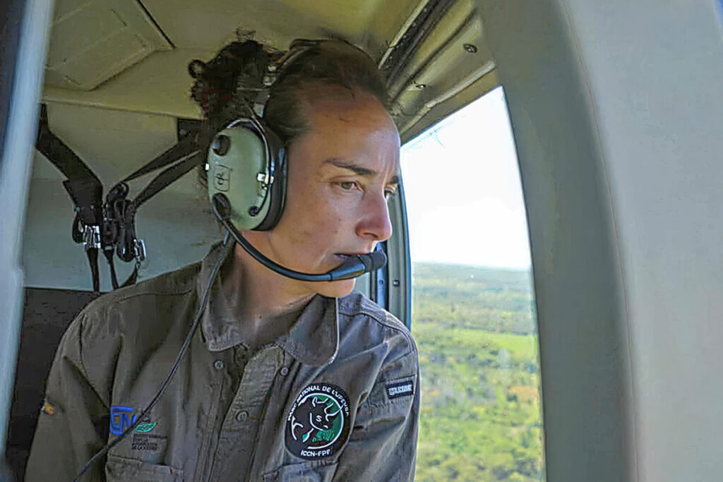 image 17728169126245