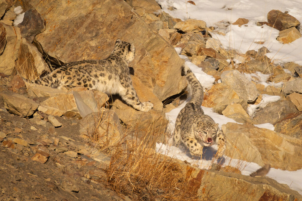 20250217-embalse-el-yeso-dic-202416887-arw-2048x1365-u-100-long-edge-1-1024x683