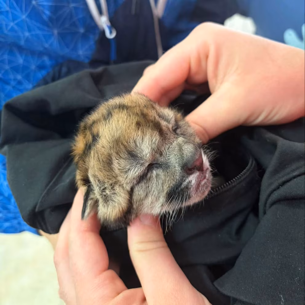 4HQKURHZQZDZ7OXO7XZYT6K7KU