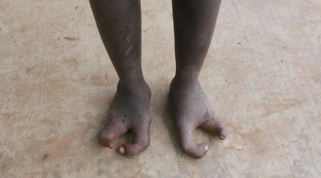 53295625_1636285453182117_1555799762073026560_n-1024x568