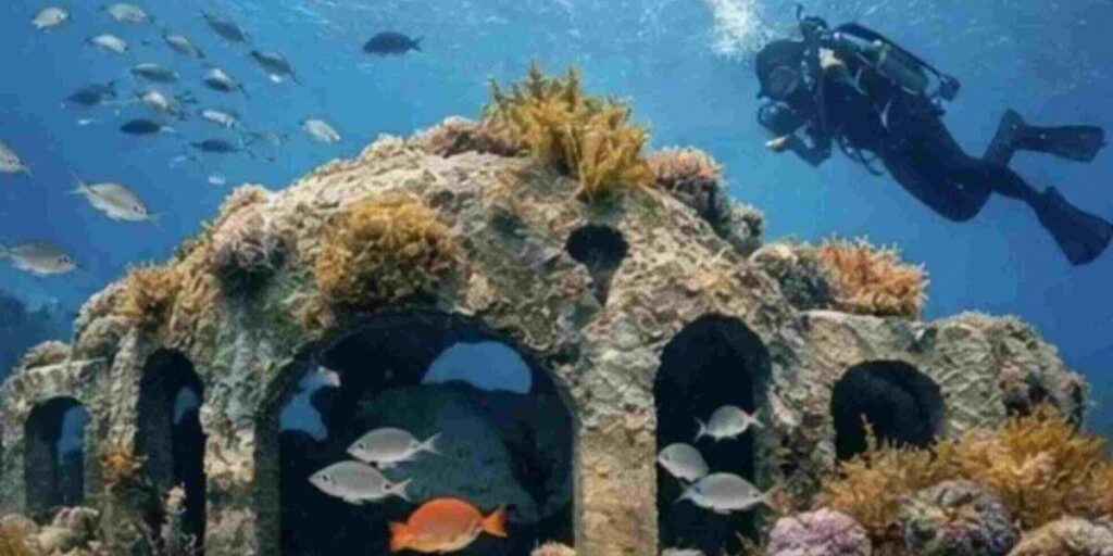 Crean el primer parque de arrecifes artificiales subacuáticos en Puerto Madryn image 5HJSOBZWZZAGPKUUS2QMPDCJC4