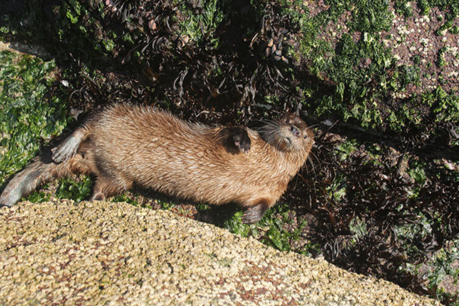 image 68D4490C AB4E 4304 8A84 ED7F1E05EF1D