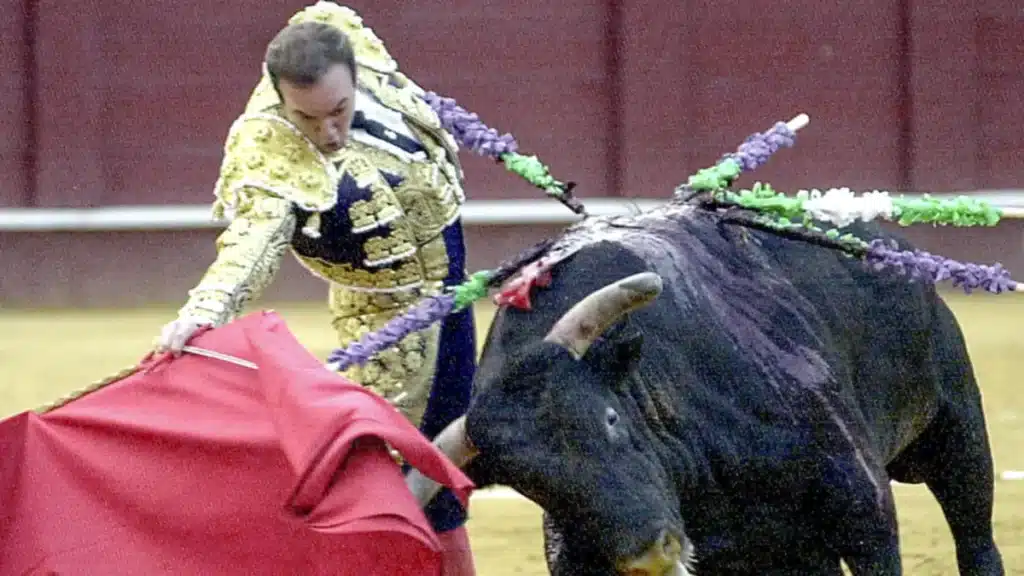 Tragedia en Málaga: un toro mató al extorero Ricardo Ortiz en los corrales de La Malagueta image 69d0383eefef63 87108662
