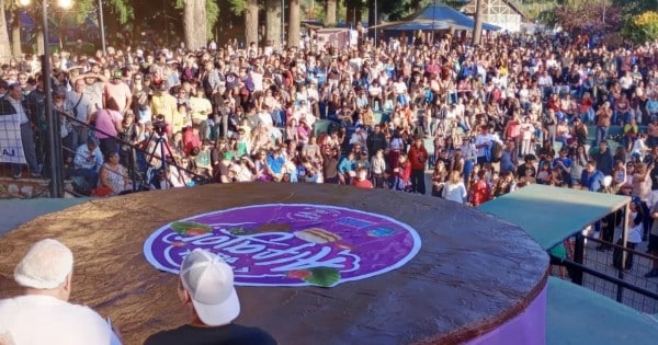 image 69d2a405c7aa0 600 315