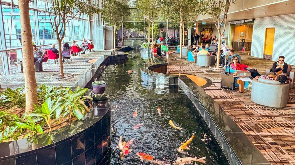 image 7CAVDWOZVFGM5D4RQ64UV3XIYU