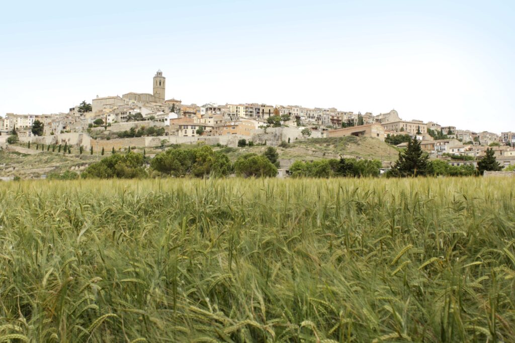 image 7SQRZKWOT5A5FP67FWB5Z7NVAA 1