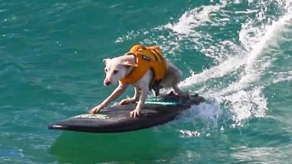 image 7YUXOAFMR5HEDCPG5M3BZHAP6A