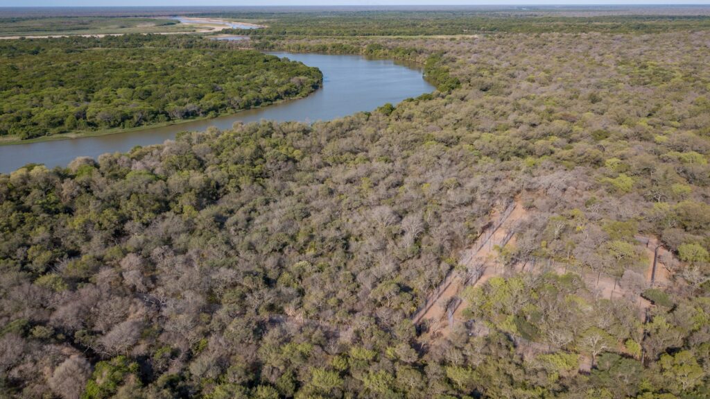 image Corral de Yaguarete Impenetrable 00002