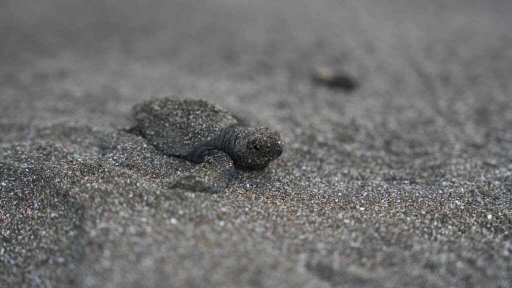 image DYMTIBFW4FBDLOMNBV35PT2F7U