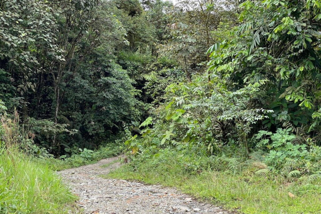 image Entrada a San Francisco 2 1200x800 1