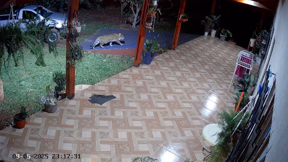 image FIESJVAKZ5B7DHGVHHV5FYH7VU