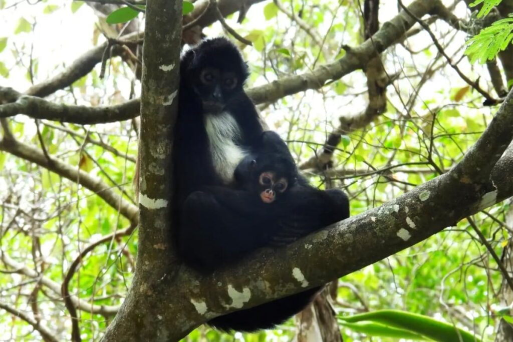 image GGAF7ETMNBCZPBME7LLPIMYQIA