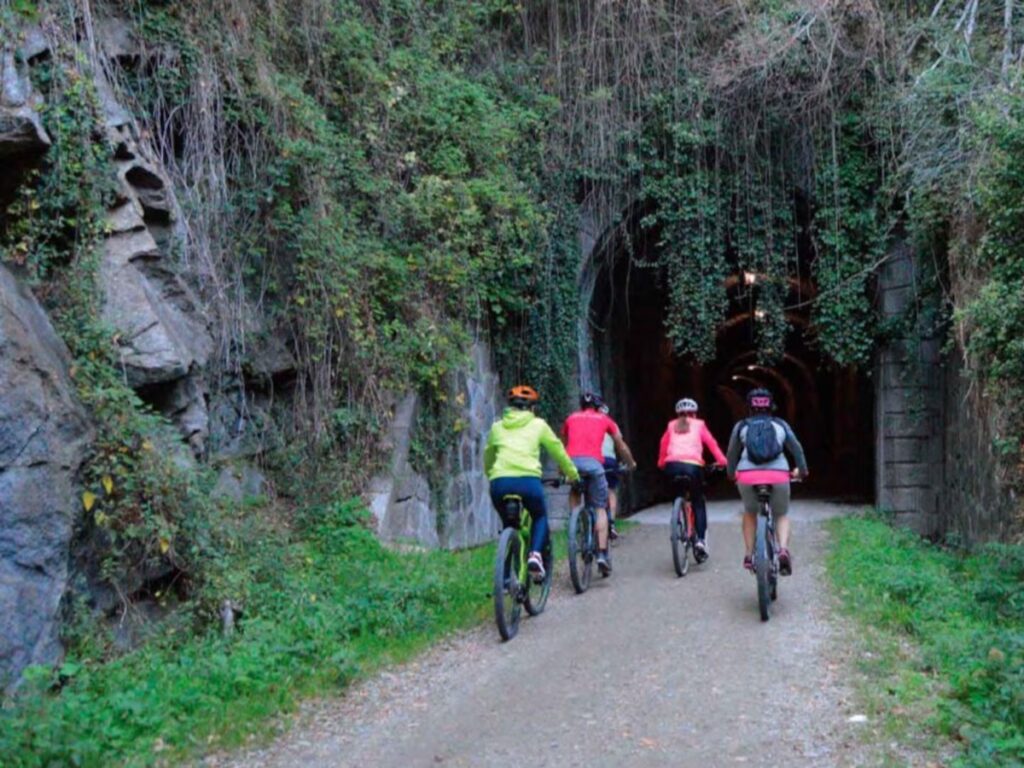 image GHIYUVTVQRFJZKZ7WBBWSHQK44