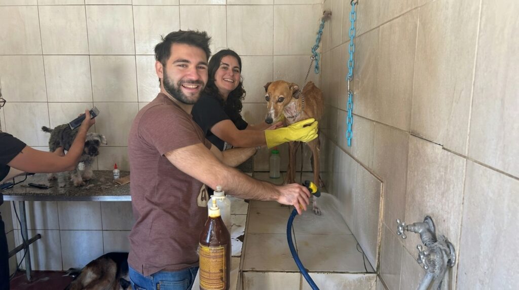 image Generated Image April 09 2026 4 35PM