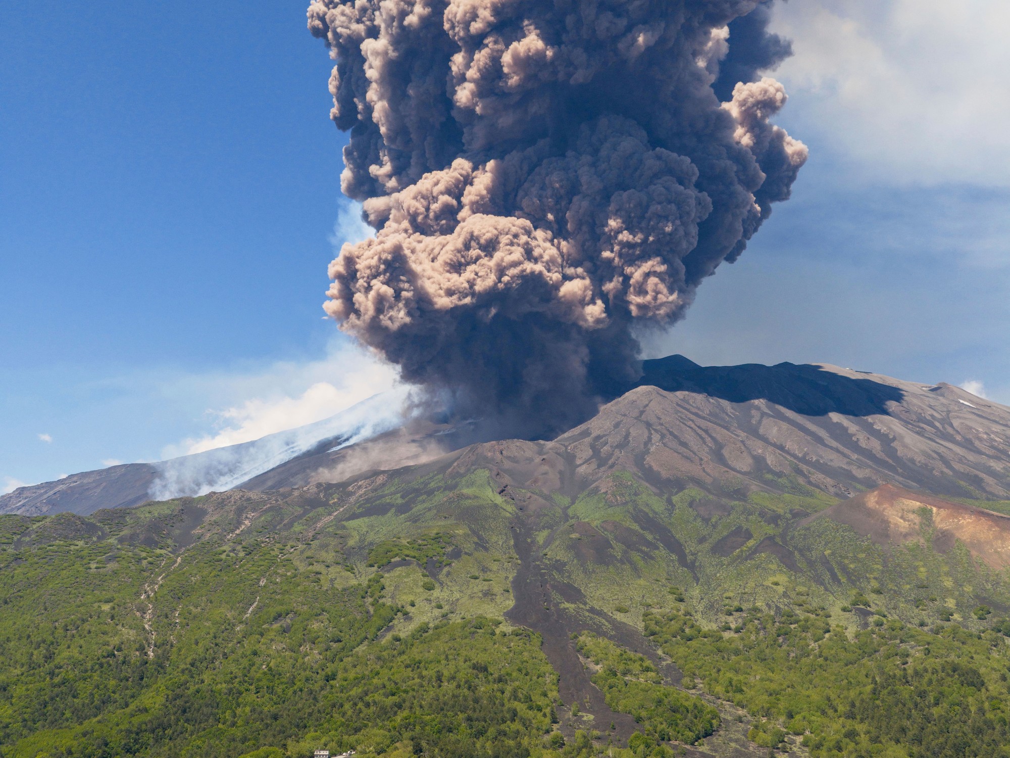 image GxTeaxk6R 2000x1500 1 2