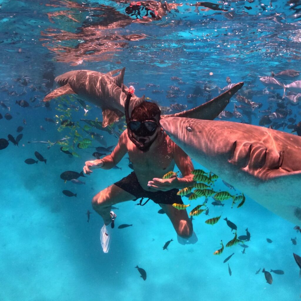 image HF XdUkXkAAYyyP