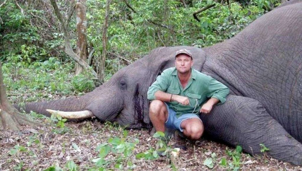 image HJx8gYxb 1200x0