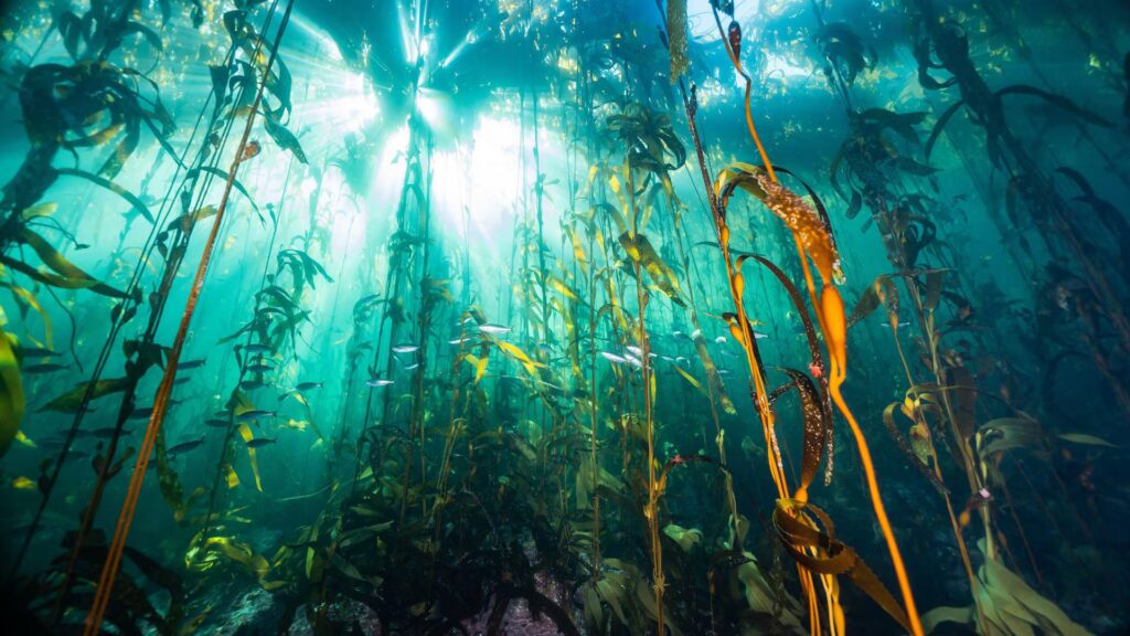 image LFRDQTNNPBBDPOCVUZQ2O5SF6Q