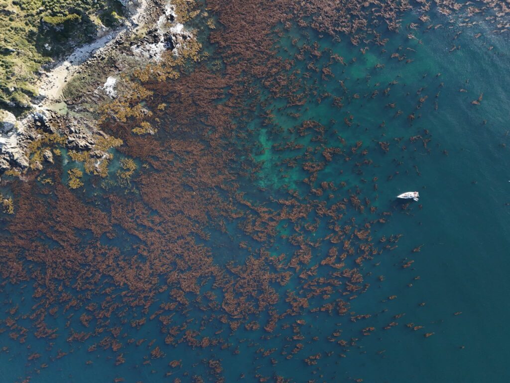 image LXUCHWFRUFGBZOUKM4RB52KKS4