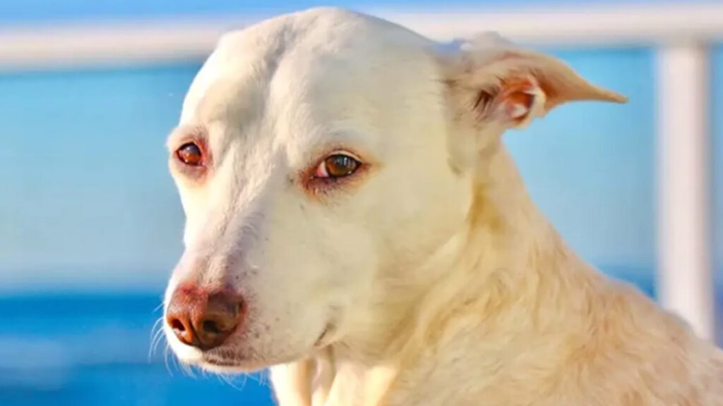 image MQZ3F5JAFZFU3H5Y62KQPEVRBA 1