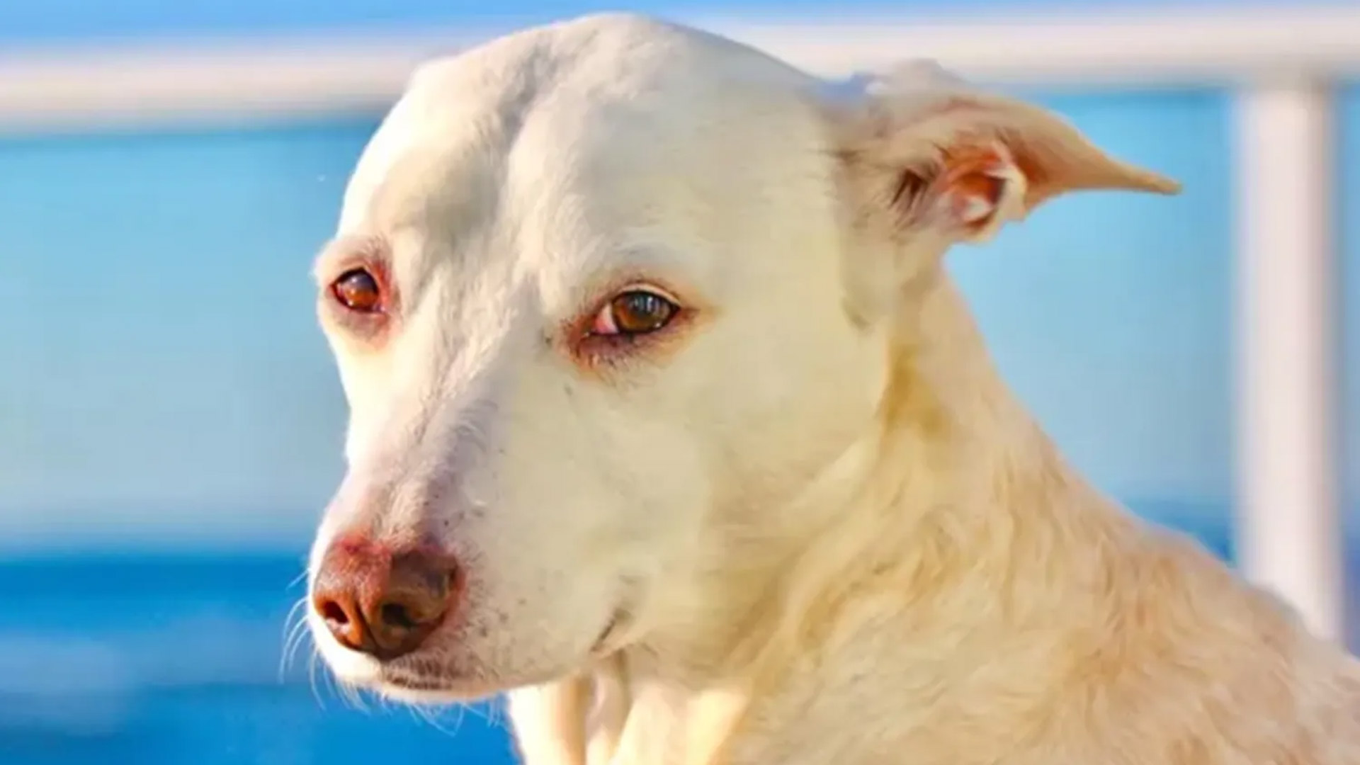 MQZ3F5JAFZFU3H5Y62KQPEVRBA