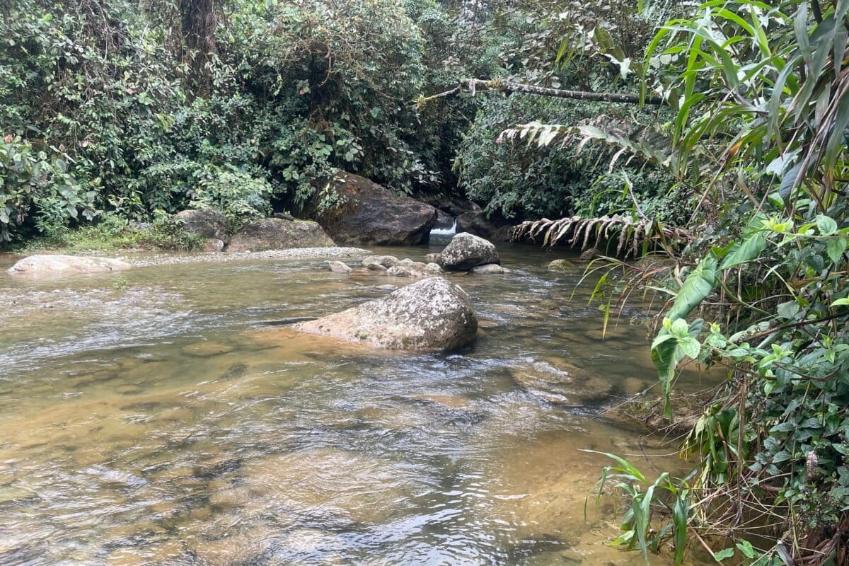 Rio-Pachijal-1200x800