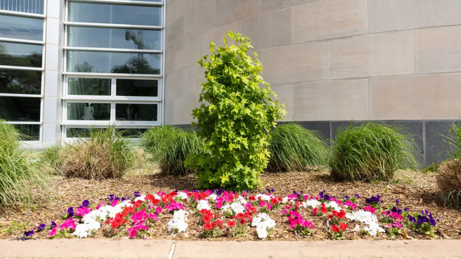 SCLZIFVXGRD25KOLLU2OUPDDJ4