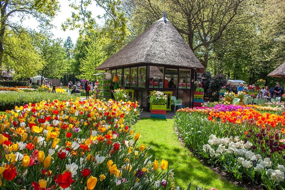 image UZARMOS27RHGXGLX6HMXRCAR2A 1