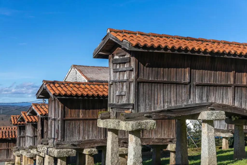 image adobestock e9fa091a 828565458 260408114241 1200x800