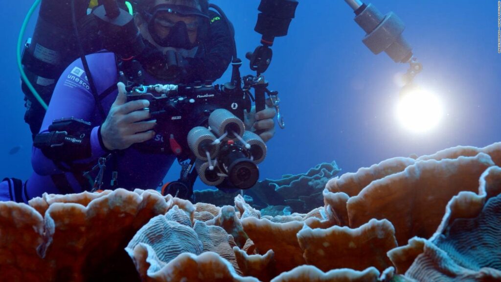 image cnne 1140310 descubren un gigantesco arrecife de coral frente a la polinesia francesa