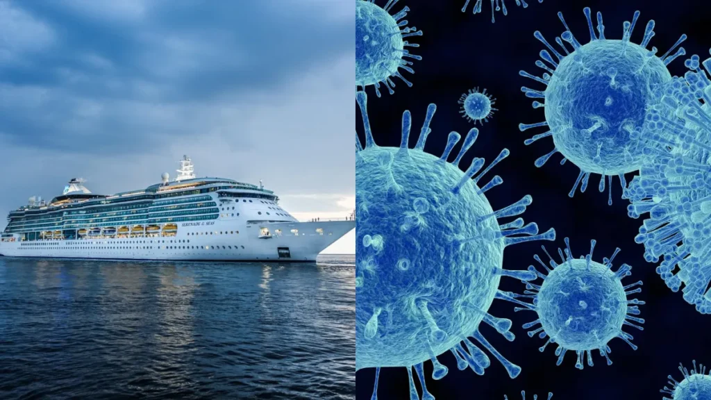 image crucero.png 554688467