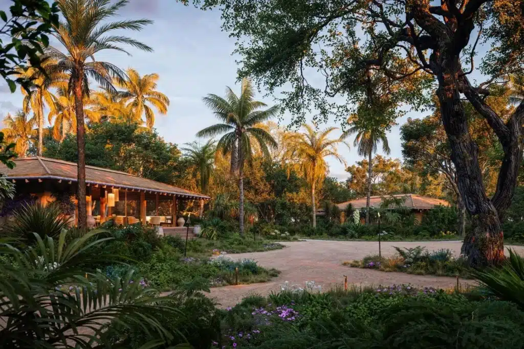 image d309124936143be65152c99c89e997c6