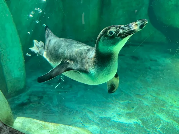 image ec39a090f69a45eeb282f0c73f15bb8f