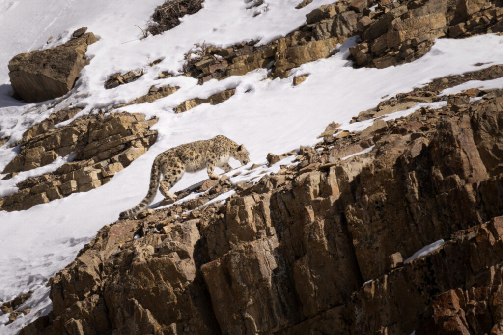 image embalse el yeso dic 202417551 2048x1366 u 100 long edge 1
