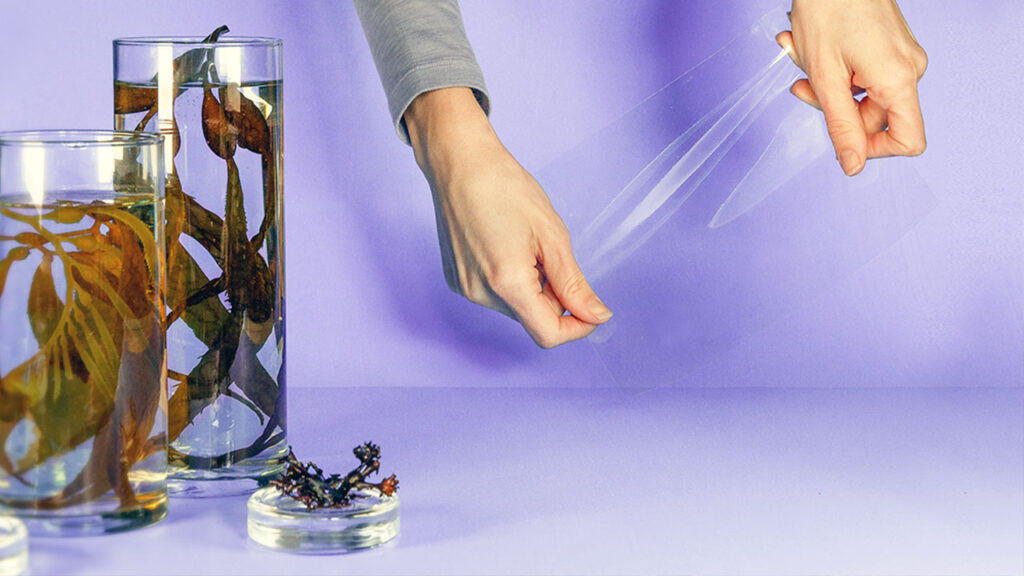 image foto plastico algas 1 291121