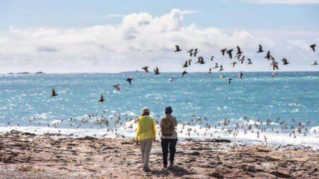 patagonia-azul-ruta-7-1-1024x576