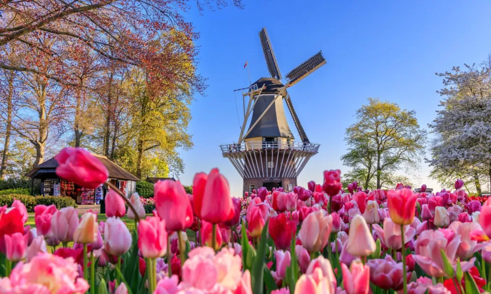 image shutterstock 2156786217 scaled 2