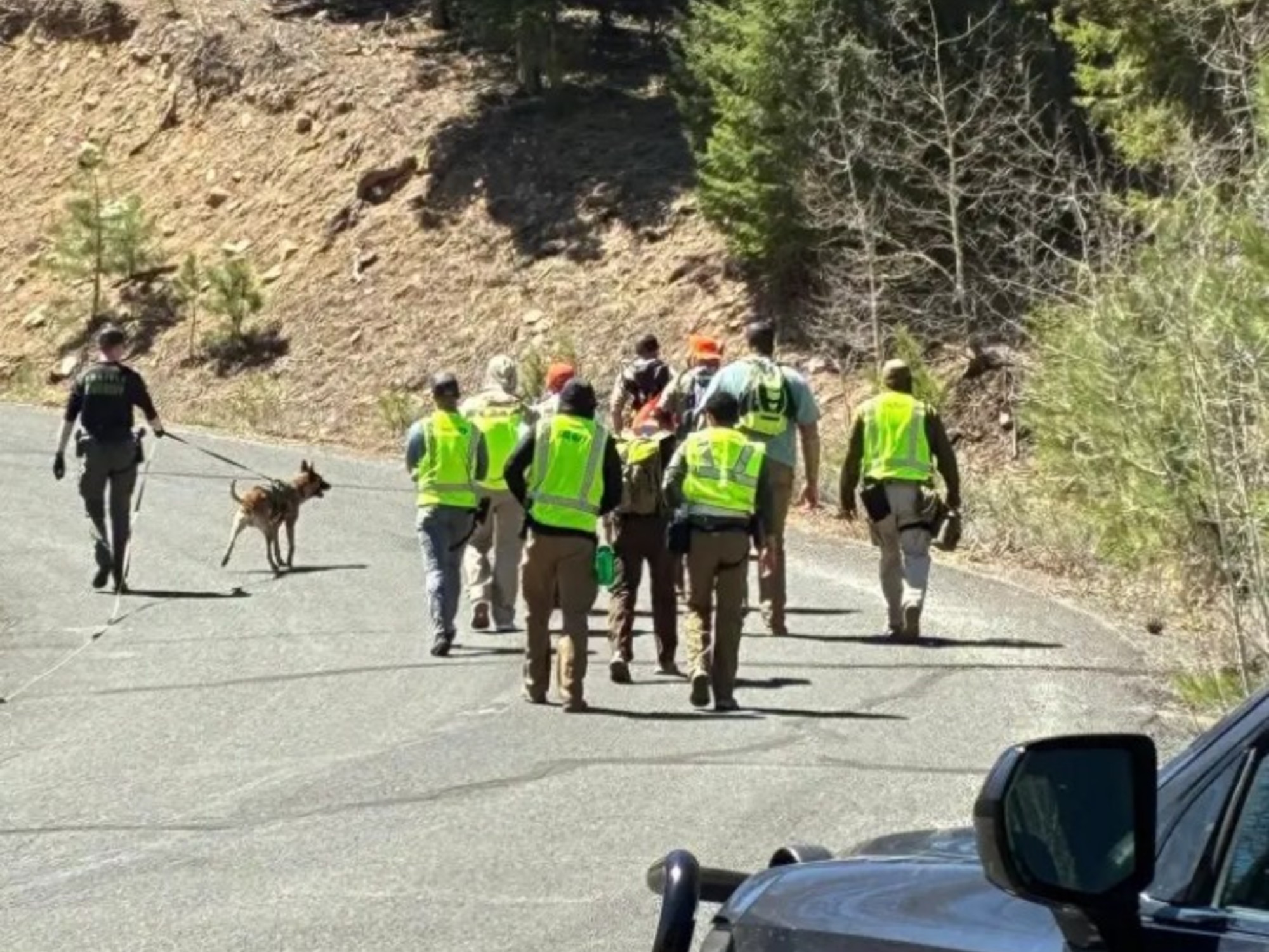 zd_vLL-1l_2000x1500__1