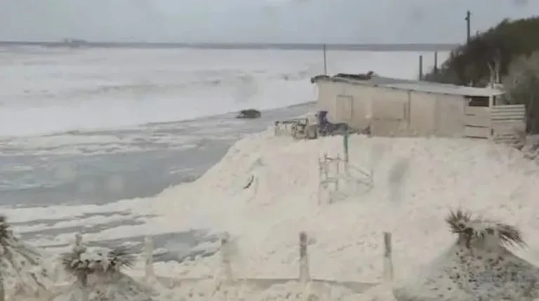 Impactante fenómeno en la costa bonaerense: una extraña espuma cubrió las playas tras el fuerte temporal image 1719fe5d4ed41585a74ebc6c171d4471