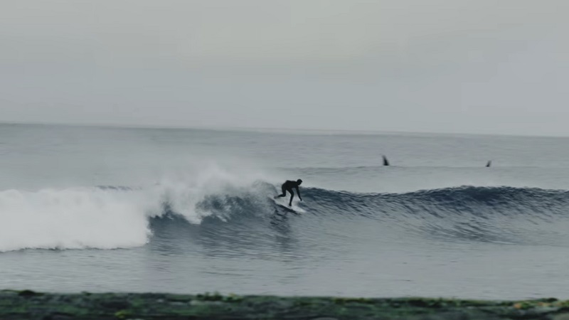 Surfistas quedaron rodeados de orcas mientras buscaban olas perfectas en Alaska: “Fue una locura” image Captura de pantalla 2952
