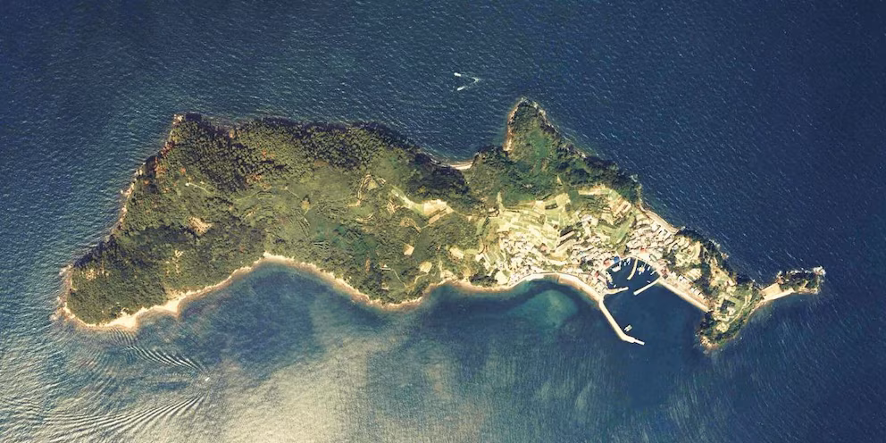 La isla japonesa donde viven más gatos que personas y las casas quedaron abandonadas image ICXC7DVNIZFJBP2ZN3KP6OT4G4