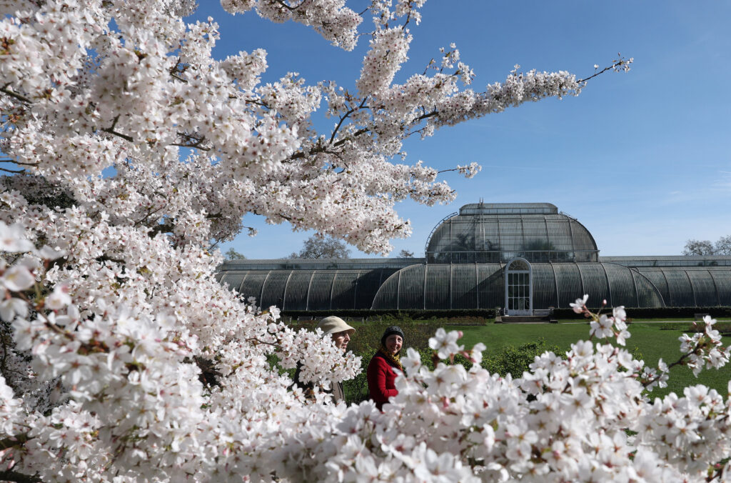 El jardín en Londres que es Patrimonio de la Humanidad y tiene la mayor colección de plantas del planeta image KBKFX23V75D65C4JBQVSNIBCDY