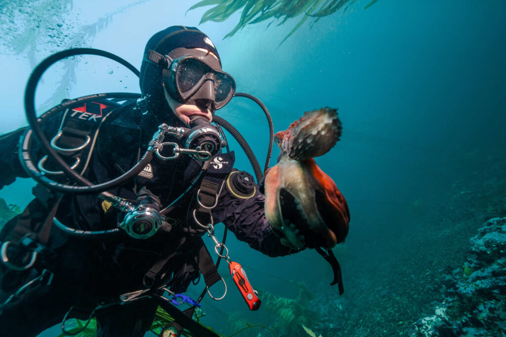 Científicos buscan revivir los bosques submarinos de EE.UU. con un inesperado depredador natural image cristian lagger director cientifico de pem foto de joel reyero 1