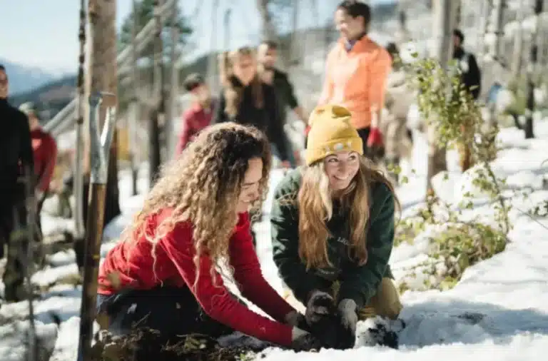 Convocan voluntarios para restaurar el bosque patagónico plantando especies nativas en Lanín image forestacion 768x506 1