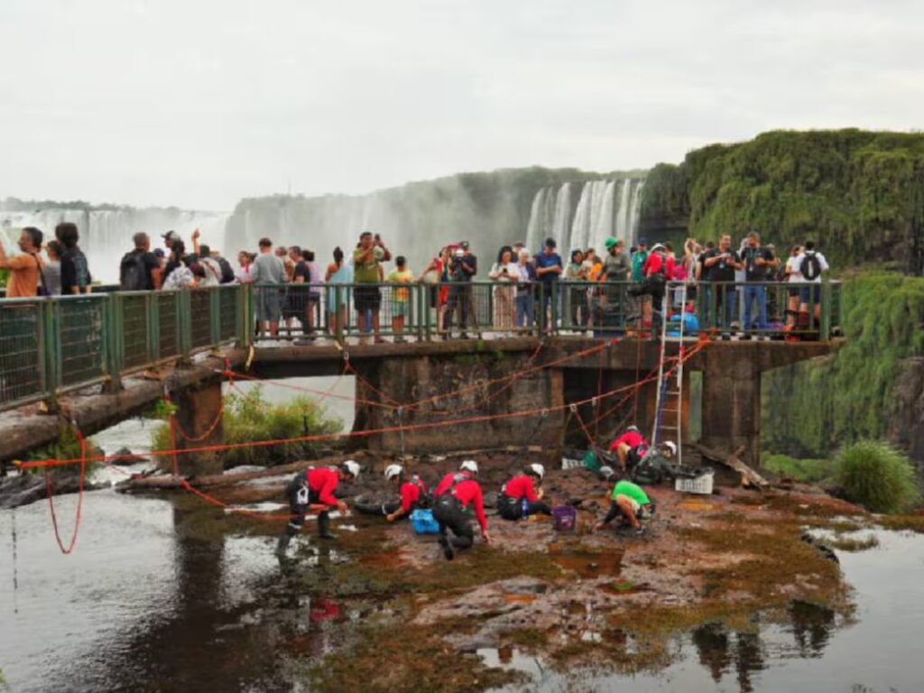 image hallaron mas de 400 kilos de monedas bajo las PN4ZGZXD4NGANGXBYCNJSPF5OE 1