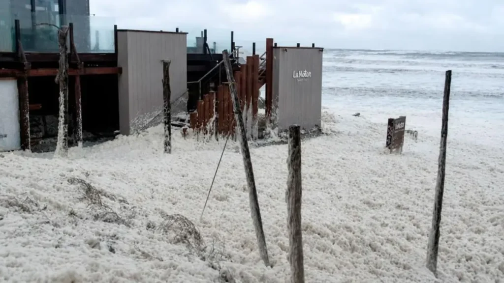 Impactante fenómeno en la costa bonaerense: una extraña espuma cubrió las playas tras el fuerte temporal image image 2026 05 09t155653154 1