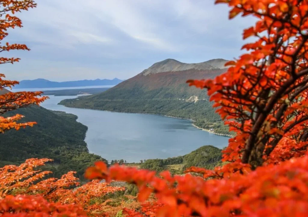 image mejores lugares para fotografiar otono en argentina turismo 1715447412983 1280
